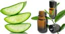  Aloe Vera Tea Tree Oil logo